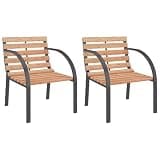 DXKDUSOKJ 2 Pack Wooden Patio Chairs with Steel Frame, Wood Slat Outdoor Seating for Garden, Set of 2 Curved Metal Armrest Chairs