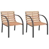 DXKDUSOKJ 2 Pack Wooden Patio Chairs with Steel Frame, Wood Slat Outdoor Seating for Garden, Set of 2 Curved Metal Armrest Chairs