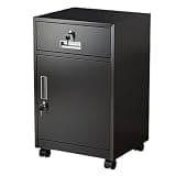 GFSGHZZ Lockable Metal Vertical File Cabinet for Home Office School Storage Organizer with Multi Purpose Garage Tool Chest & Cabinet Rolling Printer Stand Included,Black-Ordinary Lock