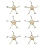 Kalttoy Soft Lures, 6Pcs Soft Fishing Lures with Jellyfish Shape, Simulation Fishing Jellyfish Baits Artificial Slow Floating Swimming Lures
