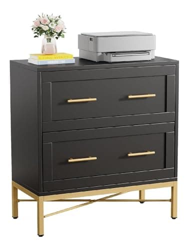 File Cabinet Boasting a Clean White Finish and Shiny Gold Legs, This 2-Drawer lateral Cabinet adds Practical Elegance to Your Home, Office, or Study Area.