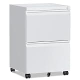 RAVIGIN 2 Drawer File Cabinet,Mobile Filing Cabinet with Lock and Wheels,Fully Assembled Metal Under Desk File Cabinets for A4/Letter/Legal Size(White