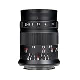 60mm F2.8 II APS-C Macro Lens for Sony E A5000 A5100 ZVE10 for Nikon Z Z6II Capable(Fuj XF)