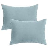Sliner 2 Pcs Small Pillows Down Alternative Memory Foam Mini Pillows Soft Machine Washable Breathable Tiny Cushion for Travel Sofa Chair Sleeping Neck Wrist Lumbar Knee Support(Llight Blue,11"x7")
