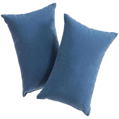 Sgqtqybk 2 Pack Mini Pillows, 11x7 Soft Microfiber Small Travel Pillow, for Sleeping Nap Pets, Machine Washable Compact Pillows (Blue)