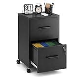 SAWJEC 2 Drawer File Cabinet with Lock, Black Metal Filing Cabinet for Home Office, Assembly Required, Vertical Locking File Cabinet with Letter Size Hanging Files, 17.7" D x 15.0" W x 26.8" H