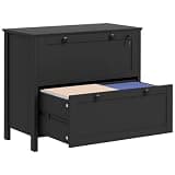 2-Drawer Lateral File Cabinet with Lock and Keys - Adjustable Hanging Bar for Letter, A4, and Legal-Sized Documents - Elegant and Durable Office Storage Solution for Home and Small Offices
