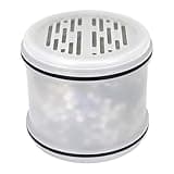 Citivisoivd Replacement Shower Compatible with MakeFit H5H117 Filtered Shower-1Pack.
