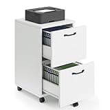 Sweetcrispy 2 Drawer Filing Cabinet White, Rolling Wood File Cabinets, Home Office Organizer, Under Desk Storage Lockable Wheels, Printer Stand, Storage Cabinet, White