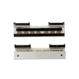 SINOSCOGO Thermal Print Head Replacement Compatible with RLS1000 RLS1100 RLS1000A RLS1100A RLS1000C RLS1100C RLS1515 RLS1530 Scale Printer