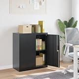 KFPOERTFGD 2-Door Metal File Cabinet, Anthracite Powder-Coated Steel Storage Locker with Lock and Keys, Adjustable Shelf for Home Office Organization, 31.1 x 15.7 x 35.4 Inches