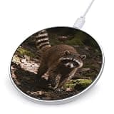 Raccoon Wireless Charger Magnetic Phone Induction Charger 10w Fast Wireless Charging Station Compatible with iPhone 17 16 15 14 13 12 Pro Max Samsung Galaxy S25 S24 S23