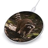Raccoon Wireless Charger Magnetic Phone Induction Charger 10w Fast Wireless Charging Station Compatible with iPhone 17 16 15 14 13 12 Pro Max Samsung Galaxy S25 S24 S23
