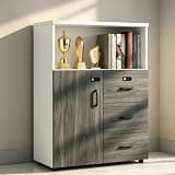 YCZYCZ Lateral File Cabinet with Lock, Metal Office Storage Cabinet, 2 Drawer Lateral File Cabinets for Home Office, A4 Letter Size, Heavy Duty Steel Filing Cabinet for Documents Storage