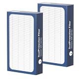 Classic 400 Series DualProtection HEPA Filter Replacement compatible with BLUEAIR Classic 400 Series, 480i, 402, 403, 405, 410, 450E, 455EB - 2 Pack