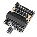 Distortions Sound Amplifier Board with Reverse Polarity Protect Theater Increaser for Sound Output Class D Stereophonic Increaser