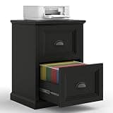 Halitaa Vertical File Cabinet, Filing Cabinet with 2 File Drawers, Farmhouse Small File Cabinet Fits Letter/A4 Size, Wooden Printer Stand, Under Desk Cabinets for Home Office, Black