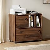 EYYTHUNG Mobile File Cabinet with Lock, Lateral File Cabinet with Wheels, Printer Stand with 2 Drawers, Home Office File Organizer for for Letter/Legal/A4 Size Hanging File, Brown
