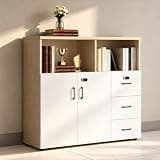YCZYCZ Lateral File Cabinet with Lock, Metal Office Storage Cabinet, 2 Drawer Lateral File Cabinets for Home Office, A4 Letter Size, Heavy Duty Steel Filing Cabinet for Documents Storage