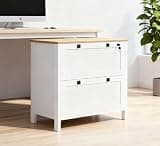 Lateral File Cabinet, Locking Filing Cabinet, 2 Drawer Office Cabinet, Adjustable Hanging Bar, Printer Stand with File Drawer for Home Office, White and Oak