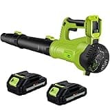 Cordless Leaf Blower with 2 Batteries and Fast Charger, 21V High Power Garden Blower for Lawns, Gardens, Yard, Deck, Snow, Leaves Cleaning -Variable Speed