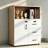 YCZYCZ Lateral File Cabinet with Lock, Metal Office Storage Cabinet, 2 Drawer Lateral File Cabinets for Home Office, A4 Letter Size, Heavy Duty Steel Filing Cabinet for Documents Storage