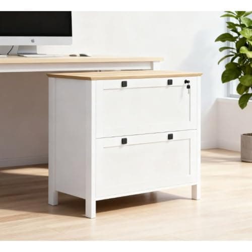 Hassyee Modern Design Lateral File Cabinet with Smooth Slides, Filing Cabinet with Adjustable Hanging Bar for Home and Office, Easy Installation