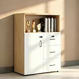 YCZYCZ Lateral File Cabinet with Lock, Metal Office Storage Cabinet, 2 Drawer Lateral File Cabinets for Home Office, A4 Letter Size, Heavy Duty Steel Filing Cabinet for Documents Storage