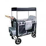 KLKCMS Twin Infant Carriage Push Cart Wagon Canopy with Mesh Panels for Comfort Reclining Storage Suitable for Child Outings Walks Errands Park, Gray, Gray, Two-Seater