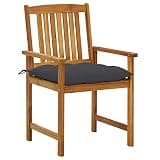 DXKDUSOKJ Solid Acacia Wood Patio Chairs with Cushions 2 Pack, Outdoor Chairs for Garden with Slatted Design and Rope Fixation