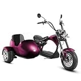 eAhora 2000W M1P Sidecar Electric Motorcycle for Adults,37mph 60V 30Ah Lithium Battery 40+ Miles Range, Full Suspension and Hydraulic Brakes Electric Mopeds