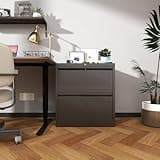 2 Drawer Metal Lateral File Cabinet with Lock, Wide Horizontal Filing Cabinet for Home Office, Compatible with Letter Legal A4 F4 Hanging Files