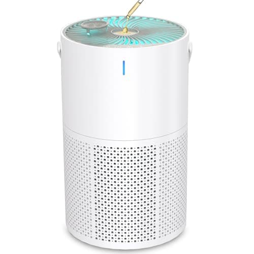 Air Purifiers for Home Large Room up to 1095 Ft², H13 True HEPA Filter Air Purifier for Bedroom with Quiet Sleep Mode & Timer, Air Cleaner for Pets Hair, Smoke, Odor, Dust