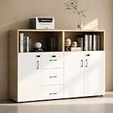 YCZYCZ Lateral File Cabinet with Lock, Metal Office Storage Cabinet, 2 Drawer Lateral File Cabinets for Home Office, A4 Letter Size, Heavy Duty Steel Filing Cabinet for Documents Storage