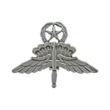 U.S. Army Freefall Master Parachutist Halo (each)