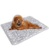 Dog Crate Mat (48" X 30"), Soft Dog Bed Mat with Cute Prints, Personalized Crate Pad, Anti-Slip Bottom, Machine Washable Kennel Pad