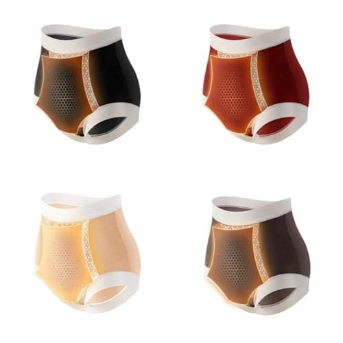 dDanke 4-Pack Women’s High Waist Thermal Underwear Soft Warm Seamless Briefs with Mulberry Silk Lining (X-Large) Multi