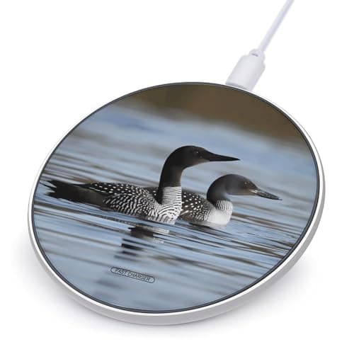Loon Birds Wireless Charger Portable 10W Fast Wireless Charging Pad Compatible with Phone Ultra-Thin Charging Station Lightweight Charger Mat for Travel Home Office Desk