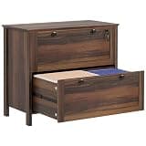 GOWE 2 Drawer File Cabinet with Lock, Lateral Filing Cabinet with Keys and Adjustable Hanging Bar for Letter, A4 and Legal Size, File Cabinet for Home Office, Brown