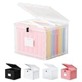 Small File Cabinet, Plastic File Box with Lid for Letter Size Hanging File Folders, Easy Carry Filling Box for Home, Office, School, Vertical File Cabinets, Stackable Storage Bins(Clear, 1 Pack)