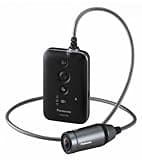 Panasonic HX-A100 HD Wearable Action Camera Digital Camcorder (Black)