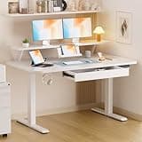 GTPLAYER Electric Standing Desk with Drawers, 48 x 24 Inches Height Adjustable Computer Desk with Monitor Stand, Laptop Stand, Sit Stand up Desk with Memory Preset for Home, Office, White