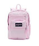 JanSport Laptop Backpack - Computer Bag with 2 Compartments, Ergonomic Shoulder Straps, 15” Laptop Sleeve, Haul Handle - Pink Ice