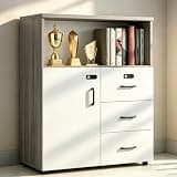 YCZYCZ Lateral File Cabinet with Lock, Metal Office Storage Cabinet, 2 Drawer Lateral File Cabinets for Home Office, A4 Letter Size, Heavy Duty Steel Filing Cabinet for Documents Storage