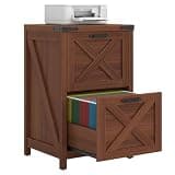Halitaa 2 Drawer Small File Cabinet, Farmhouse Vertical Filing Cabinet Fits Letter and A4 Size, Under Desk Wooden File Cabinets for Home Office, Printer Stand, Walnut