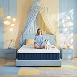 Mutesleep Twin Mattress 12 Inch Hybrid – Medium Firm Feel, Pressure Relief Euro Top, Motion Isolation Pocket Coils, Breathable Cover, Mattress-in-a-Box for Bedroom/Dorm/Guest Room