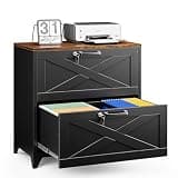 Letaya 2 Drawer File Cabinet with Lock and Feet,Metal Lateral Filing Cabinet for Home Office,Hanging Letter/Legal/A4 Size (Black-A, 16" D x 28.4" W x 29.1" H)