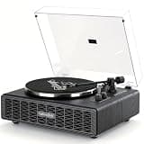 Annesburg Vinyl Record Player, Hi-Fi Bluetooth Turntable with Speakers