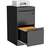 LONGLINK 2 Drawer File Cabinet with Lock,Filing Cabinets for Home Office,Metal Small File Cabinet for Letters/Legal/A4 Size, Assembly Required,Black 2 Drawer-15 W