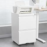 Hanuq Metal Vertical File Cabinet with Lock, 2 Drawer Rolling Mobile Storage Cabinet on Wheels, Requires Assembly, Multi-Size Document Organizer for Legal/Letter/A4 Paper, Ideal for Home and Office